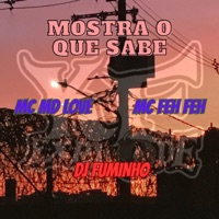 Mostra o Que Sabe (feat. Mc Feh-Feh & MC MD LOVE) - Single - Dj Fuminho