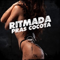 Ritmada Pras Cocota - Single - Dj Aka Df & DJ 011 Silva