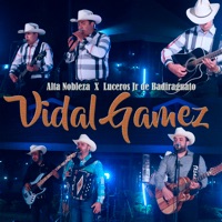 Vidal Gamez (En vivo) - Single - Alta Nobleza & Luceros Jr de Badiraguato