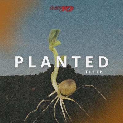 Planted - Single