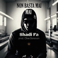 Non Basta Mai (feat. Clive Donovan) - Single - Shadi Fa