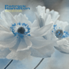 Danse des Fleurs - Patrick Hamilton