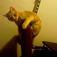 WHAT IS TEH CAPITAL OF INNER SPACE? - Single - Ghostshaft