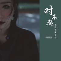 对不起是我伤害了你 - EP - 叶筱萱