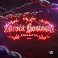 Brota Gostos4 - Single - MC Xang & Tio Sorriso