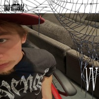 Bad Attitude - Single - VeiledVisions