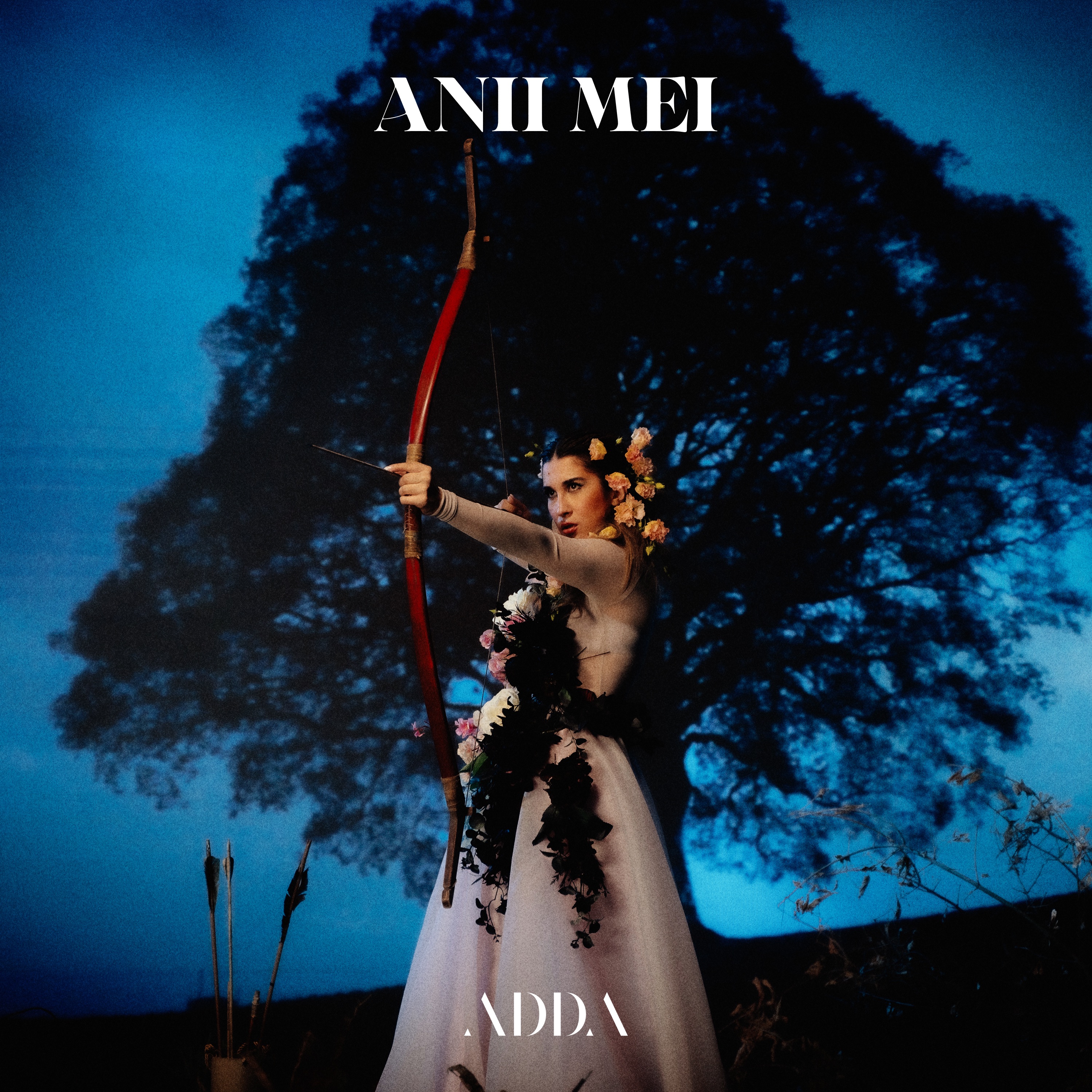 01 ADDA - Cenușăreaso (by NecKerM4nn)