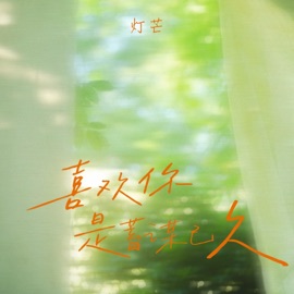 喜欢你是蓄谋已久 灯芒