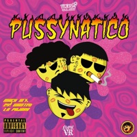 PUSSYNATICO (feat. EYWANTED & La Pajara) - Single - Mach MX