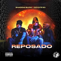 Reposado - Single - Coyote 63 & Shadow Blow
