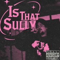 ISTHATSULLY? - Single - IsThatSully?