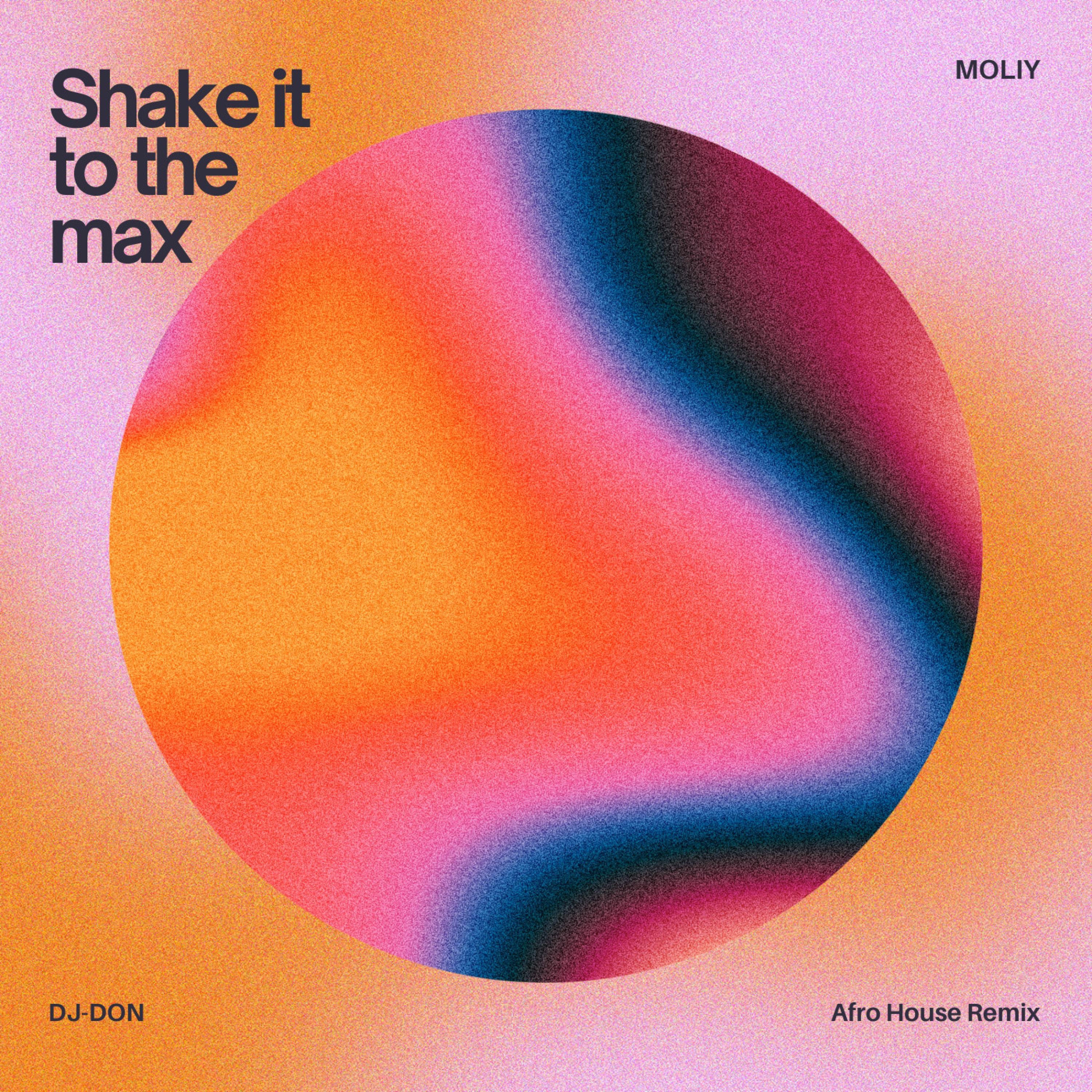 Shake it to the max (Afro House Remix) - Single