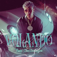 Volando - Single - Xavi The Destroyer