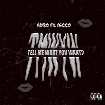 Tell Me What You Want (feat. Aicco) - Single