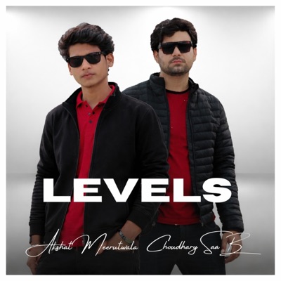 Levels (feat. Akshat Meerutwala) - Single
