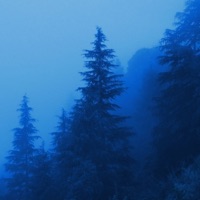 was it all good for you - Single - Danialcx