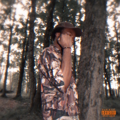 VICTORIOUS!!: The Album