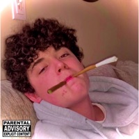 Bliss in the Smoke - Single - Curly Z