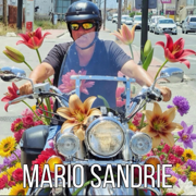 Circo De Primavera - Mario Sandrie