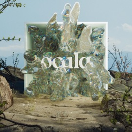 The Middle OCULA