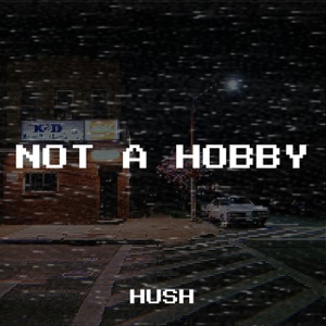 Not a Hobby