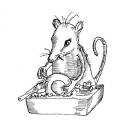 YOUNGER DAYS - Single - RATTY DISHES