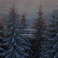 Not Alone (Spiritual Blues Remix) - Single - Rocky Valley