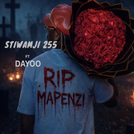 R.I.P MAPENZI (feat. Dayoo) Stiwamji255
