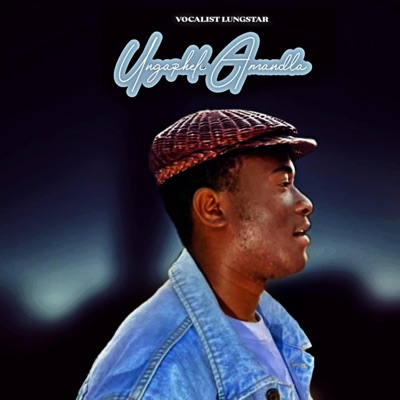 Ungapheli Amandla (feat. Melikhaya & Midi_Keys) - Single