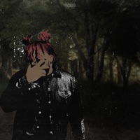 What's a Wolf to a Silver Bullet? - LoveVanni.