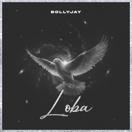 Loba BollyJay