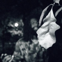 gold in the fog - Single - Nahlé & Avian