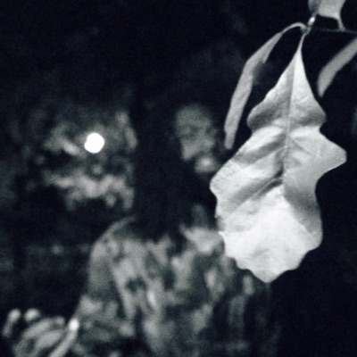 gold in the fog - Single