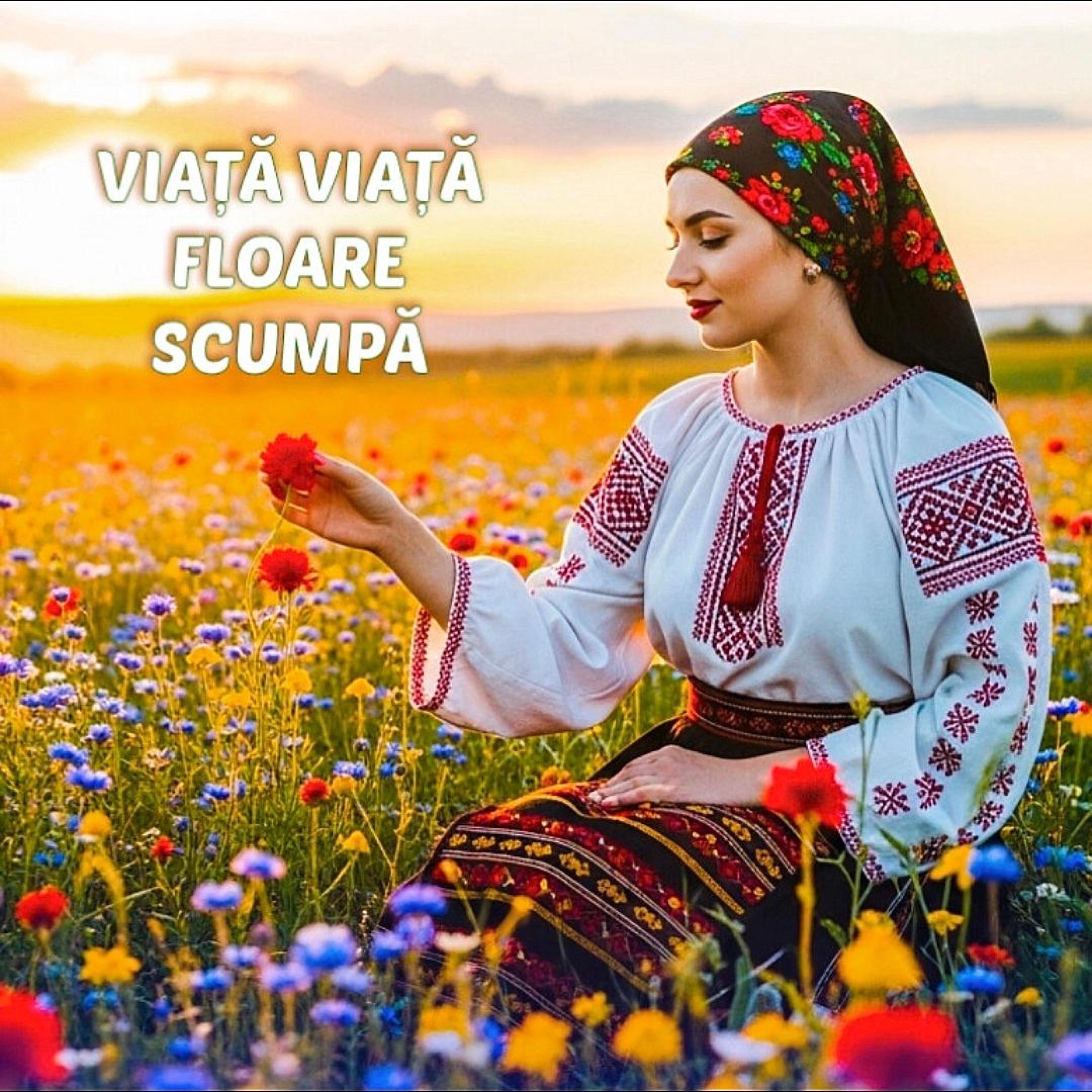 Viață viaţă floare scumpă - Single
