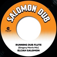 Running Dub Flute - Single - Elijah Salomon & GREGORY MORRIS