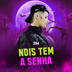 Nois Tem a Senha