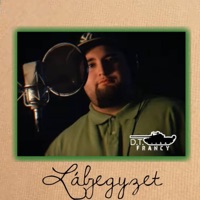 Lábjegyzet - Single - D.T.FRANCY
