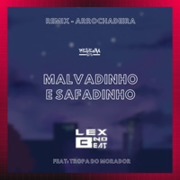 Malvadinho e Safadinho Remix Arrochadeira (feat. Vix, MC Saci & TROPA DO MORADOR) - Single - Lex No Beat