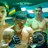 Like Fino - Single - ALANSUKKI