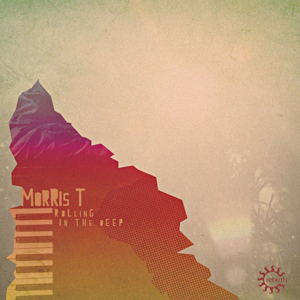 Обложка альбома «Rolling in the Deep - Single» — Morris T