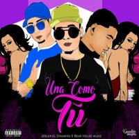 Una Como Tu (feat. Dyvla, El Junior Jr & Mitchell Anes) - Single - Jesler el Dinamiko