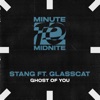 STANG/GLASSCAT - Ghost Of You