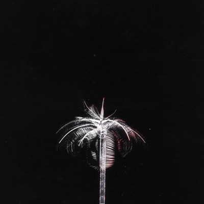 DIAMOND OR PARADISE - Single