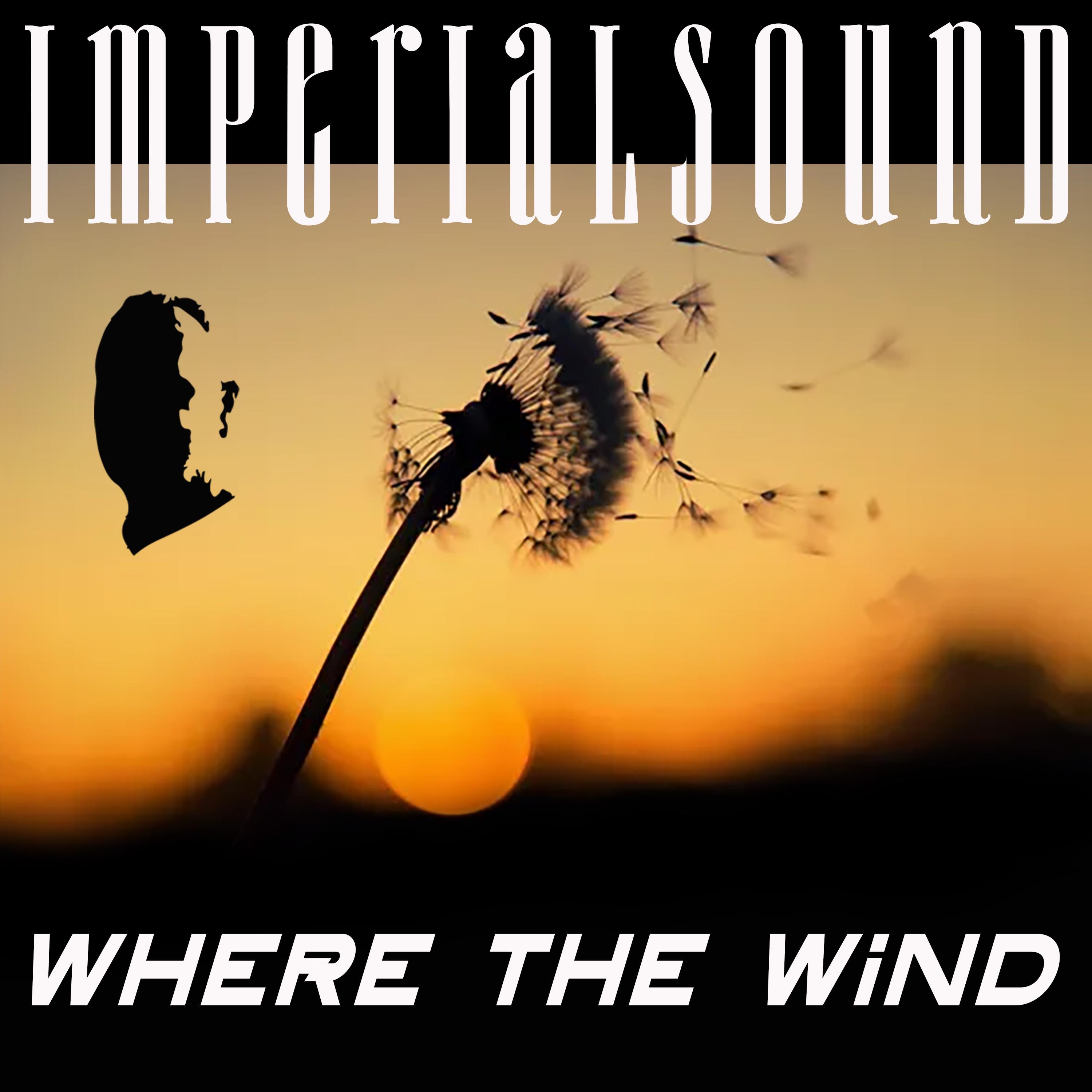 WHERE THE WIND - Single