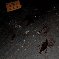 Industrogenesis - Single - BedBug