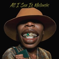 All I See Is Melanin - EP - Arrested Development