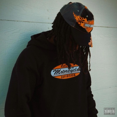 Rich'n Low - Single