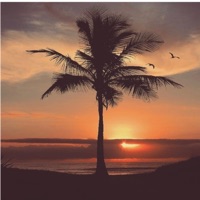 Palm Trees (feat. LUCXKY, Tyler Nicholas Casey & Lord Vazer) - Single - TylerCBlanco