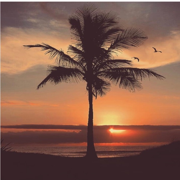 Palm Trees (feat. LUCXKY, Tyler Nicholas Casey & Lord Vazer) - Single