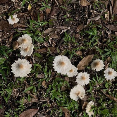 <3break in bedok (feat. BDK NIP) - Single